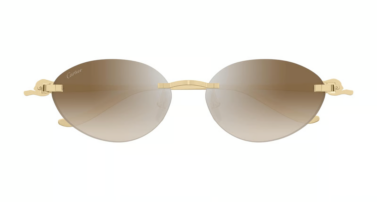 Cartier CT0504S Sunglasses