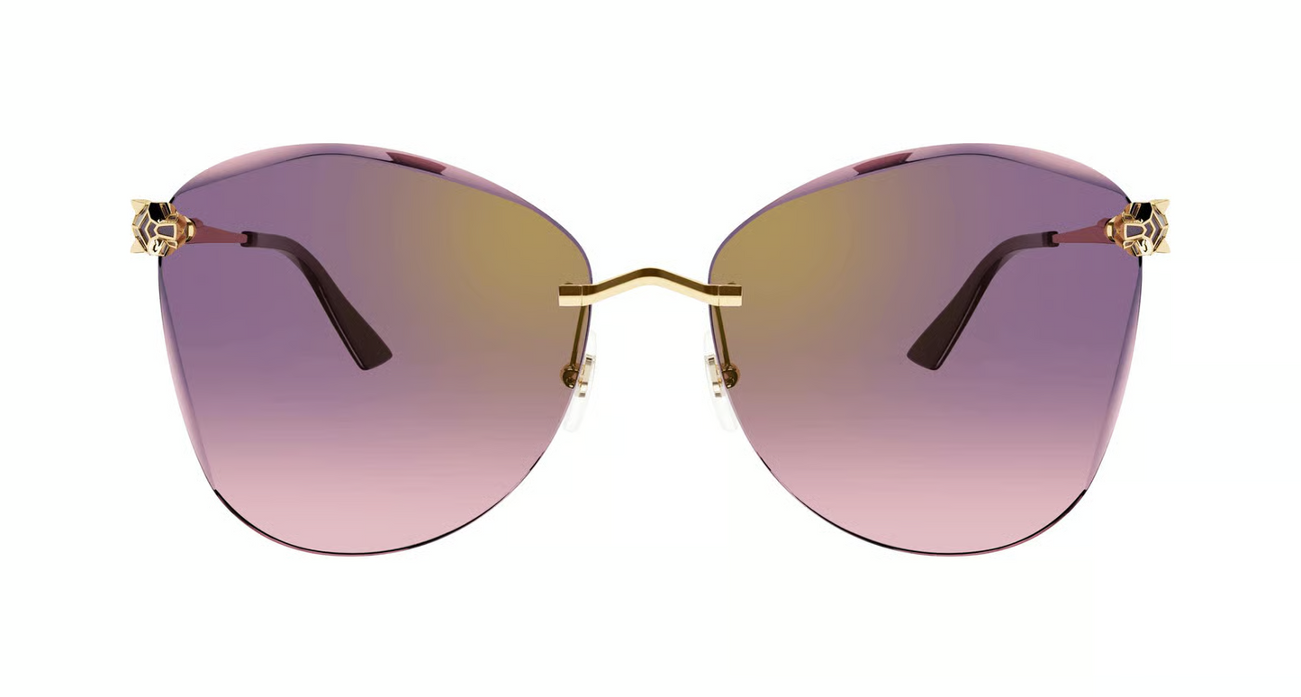 Cartier CT0398S Sunglasses