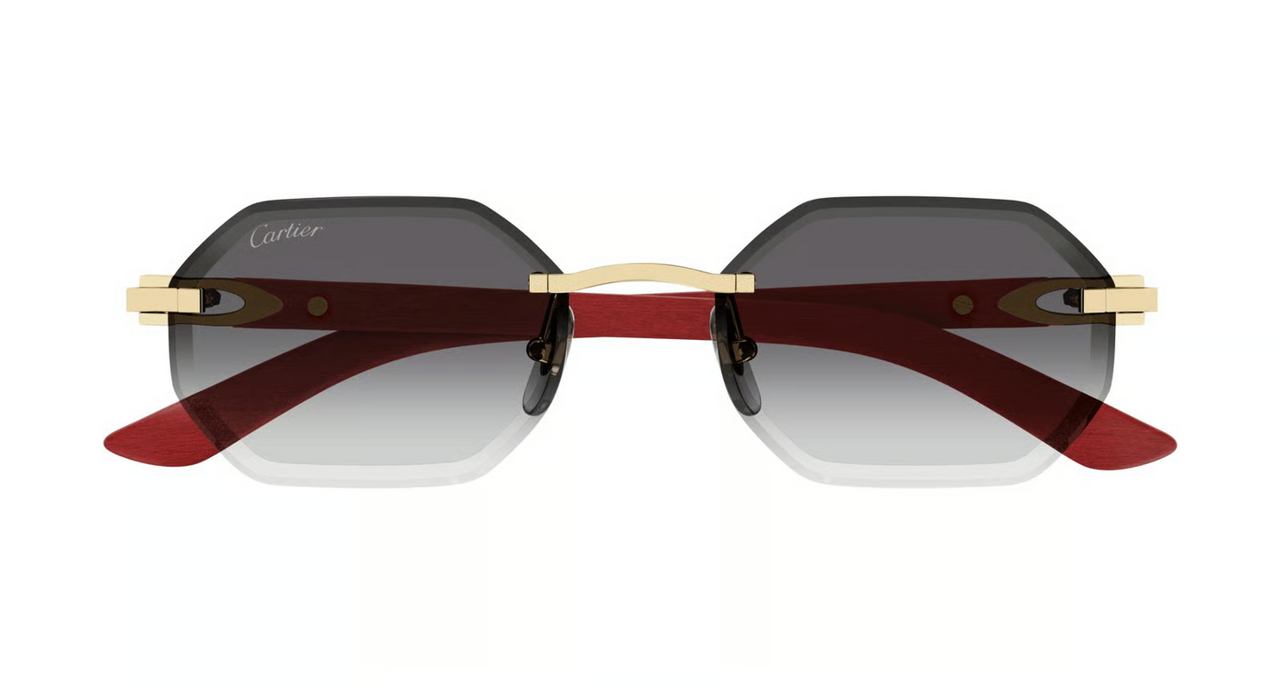 Cartier CT0439S Sunglasses