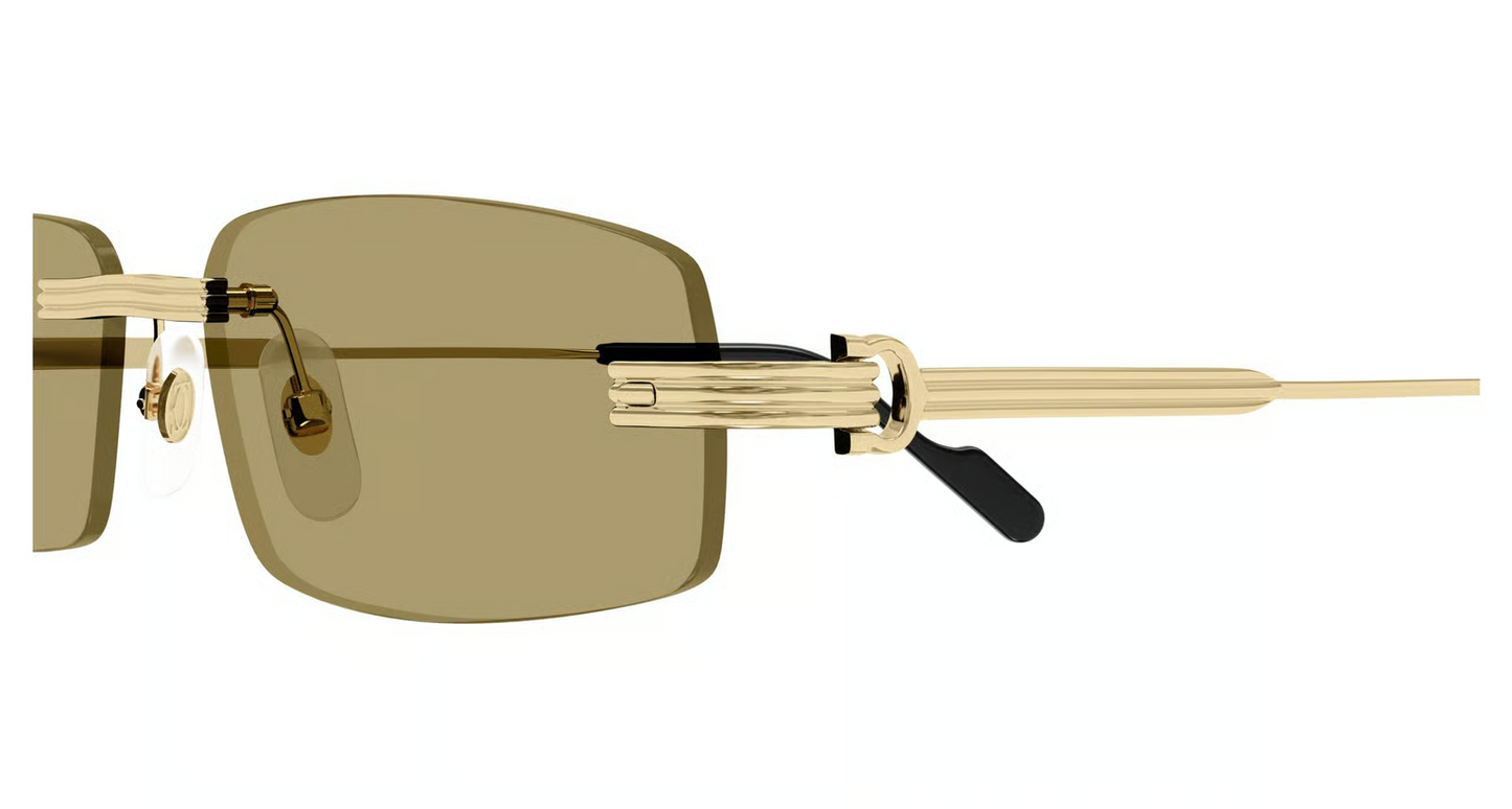 Cartier CT0535S Sunglasses