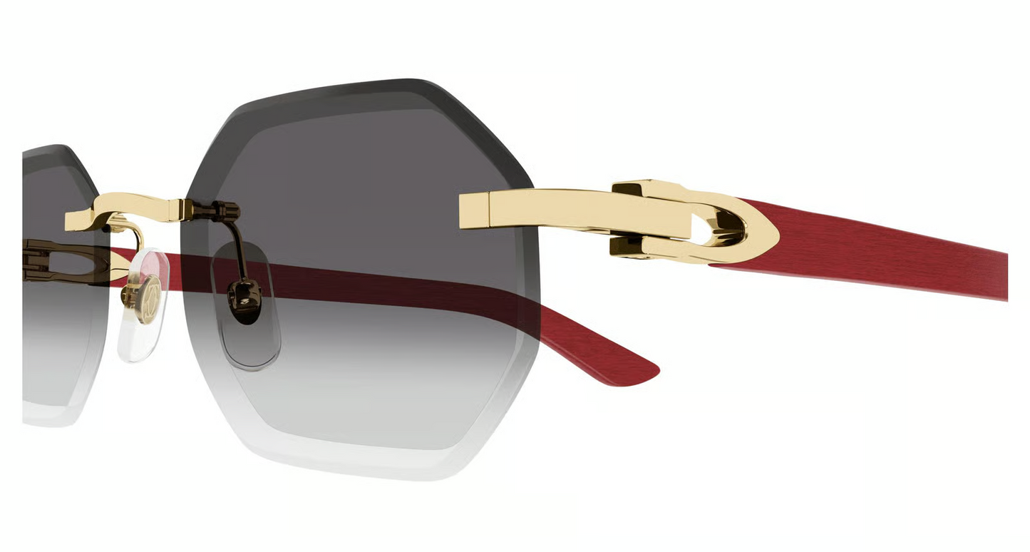 Cartier CT0439S Sunglasses