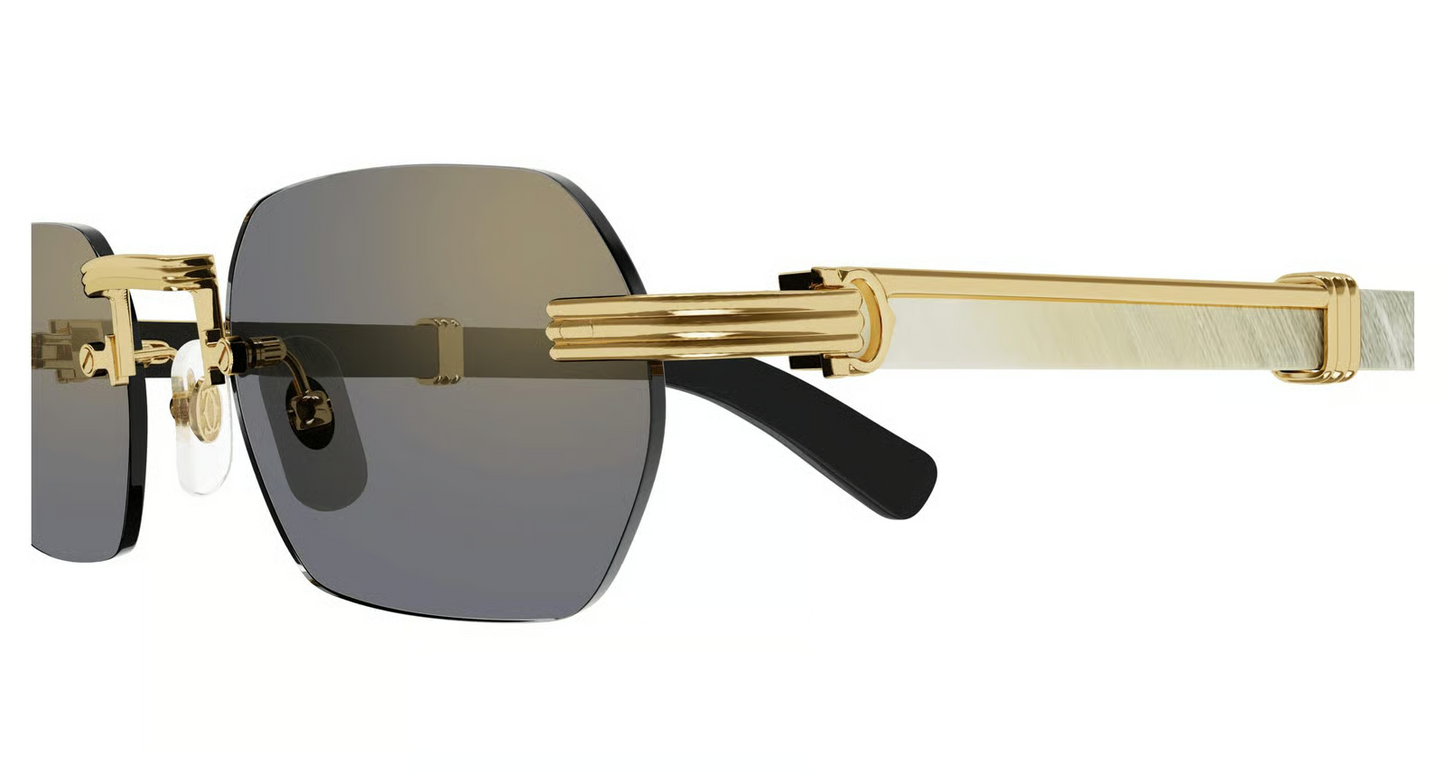 Cartier CT0362S Sunglasses