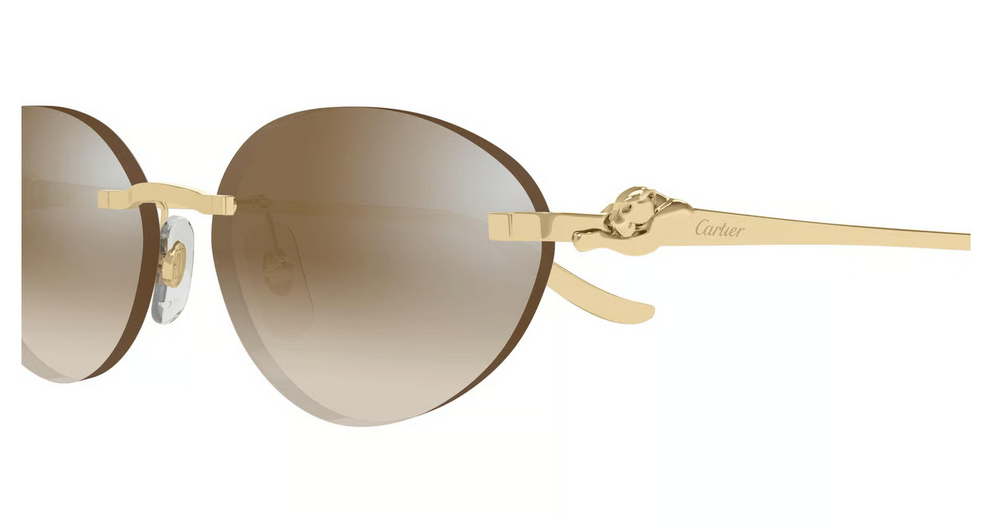 Cartier CT0504S Sunglasses