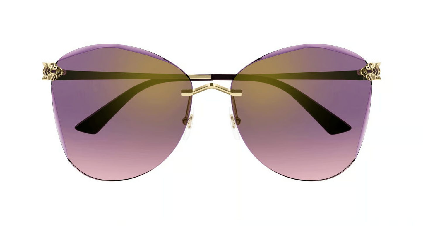 Cartier CT0398S Sunglasses