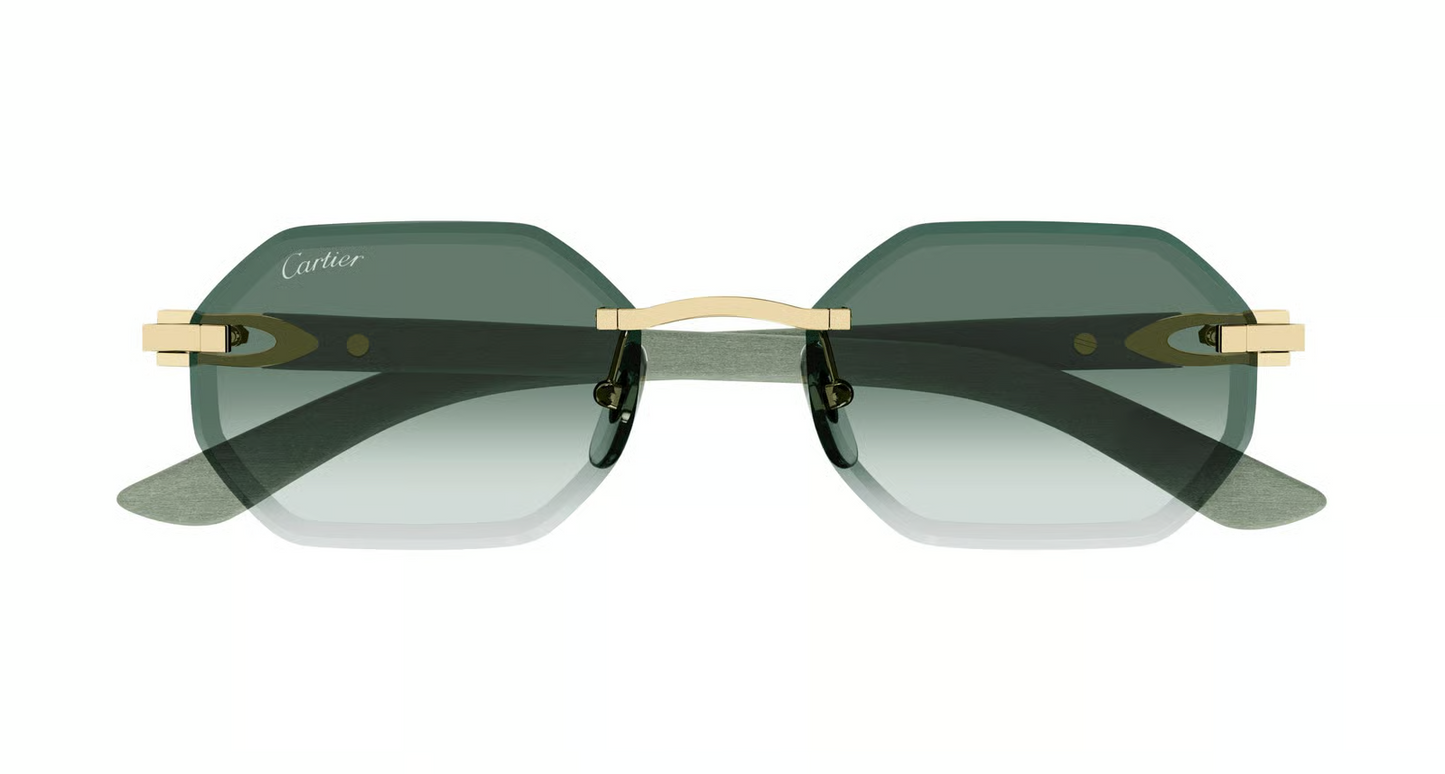 Cartier CT0439S Sunglasses
