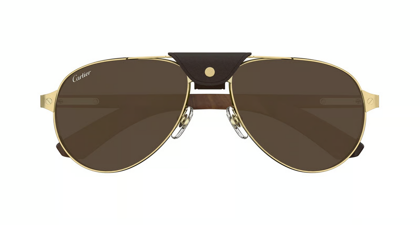 Cartier CT0495S Sunglasses