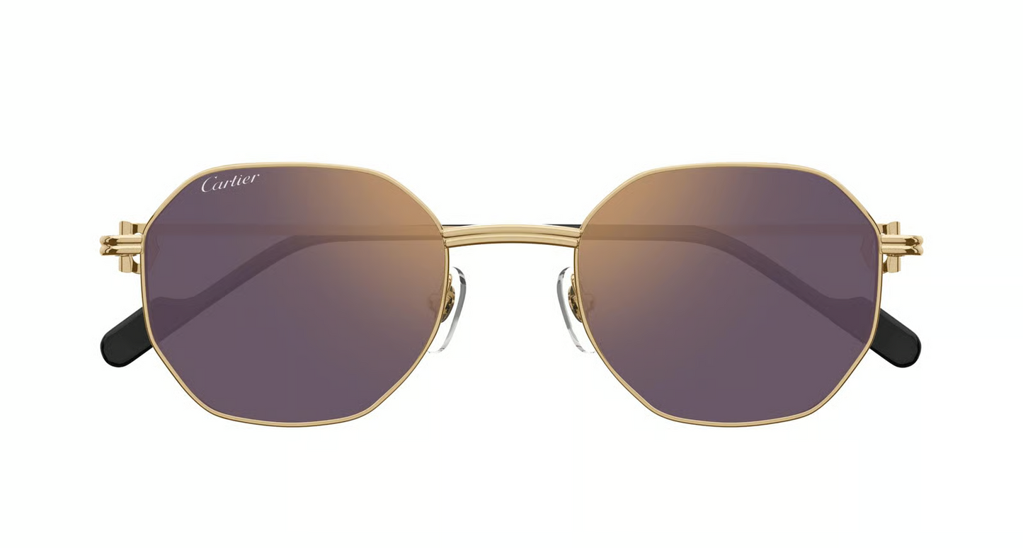 Cartier CT0500S Sunglasses