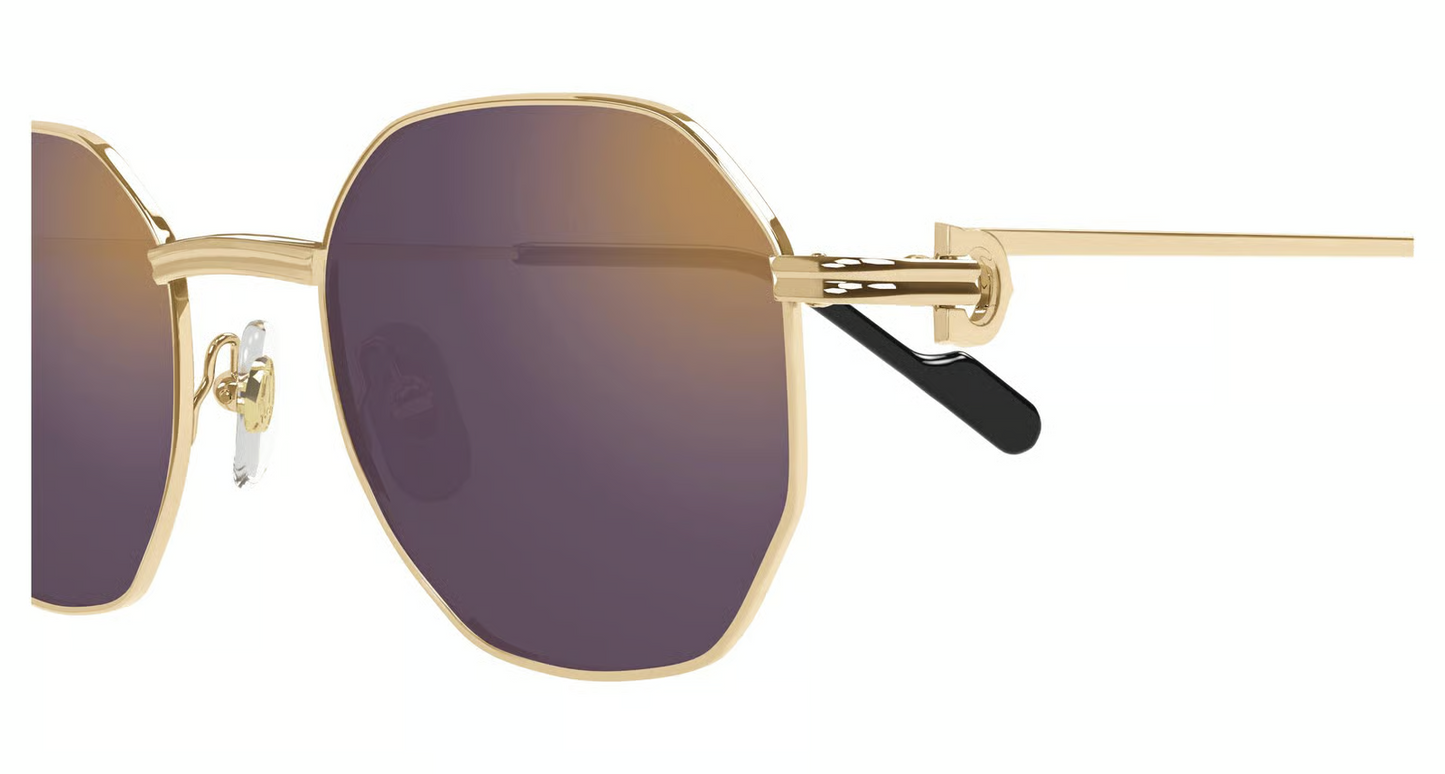 Cartier CT0500S Sunglasses