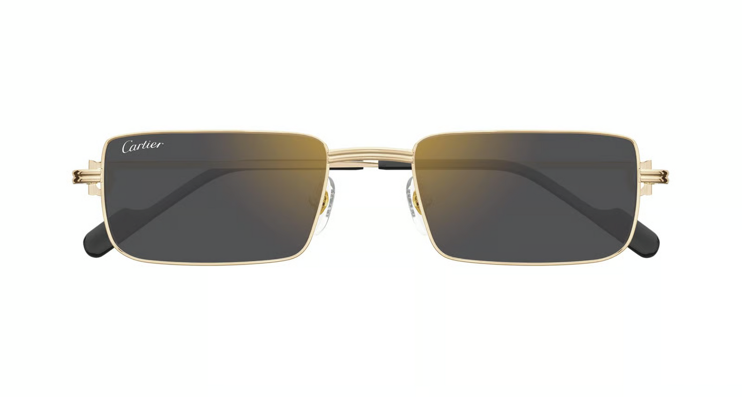 Cartier CT0501S Sunglasses