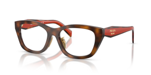 01K1O1 - Juniper Havana with Clear Lenses