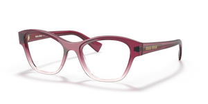 04T1O1 - Gradient Bordeaux with Clear Lenses
