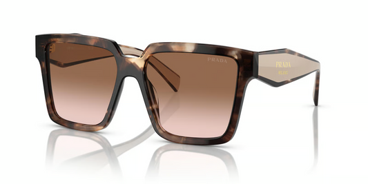 Prada PR 24ZS Sunglasses