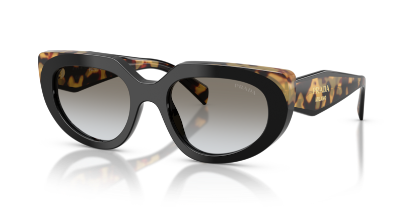 Prada PR D02S Sunglasses