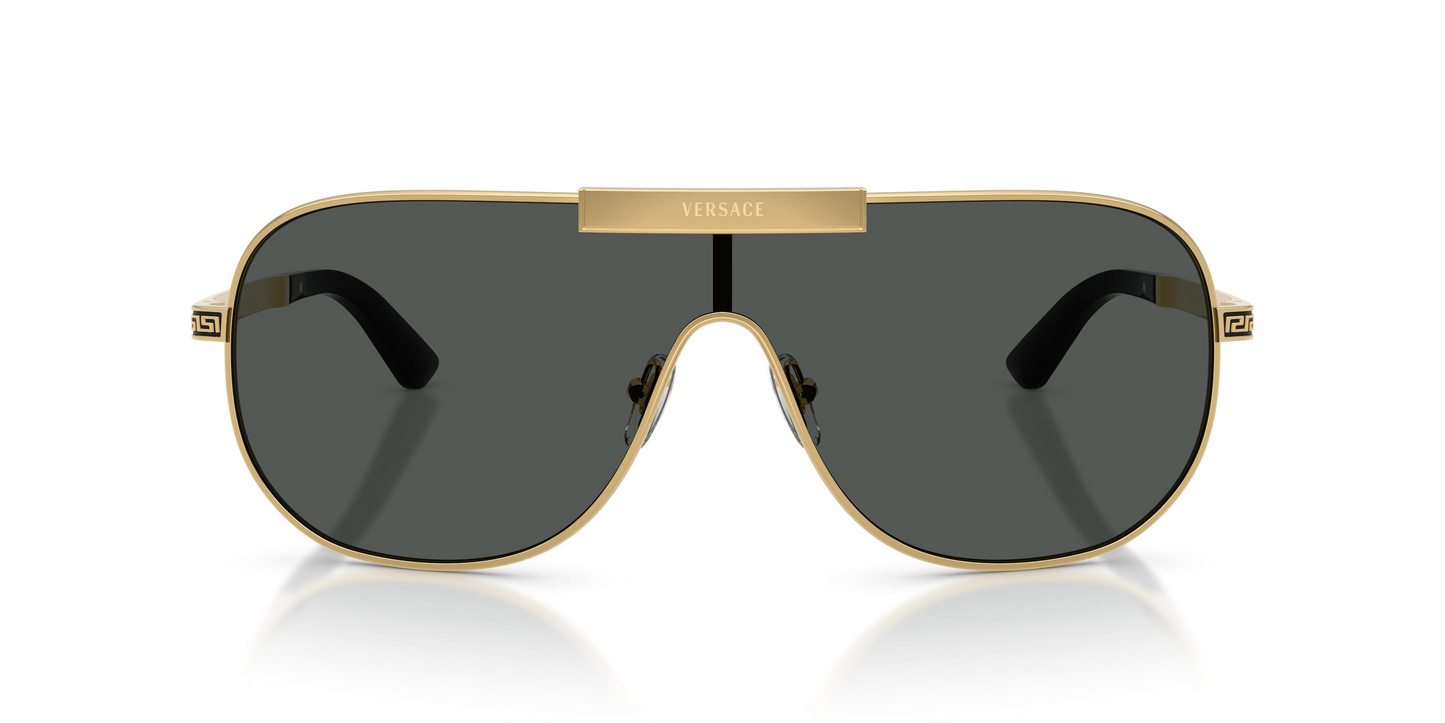 Versace VE2293 Sunglasses