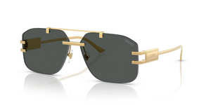 100287 - Gold with Dark Grey Lenses