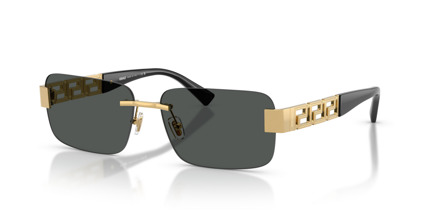 Versace VE2298 Sunglasses