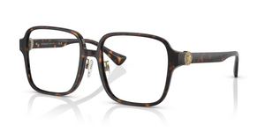 108 - Havana with Clear Lenses
