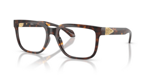 108 - Havana with Clear Lenses