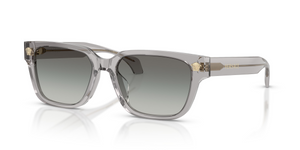 593/11 - Transparent Grey with Grey Gradient Lenses