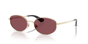 11095Q - Light Gold with Purpe Polarized Lenses
