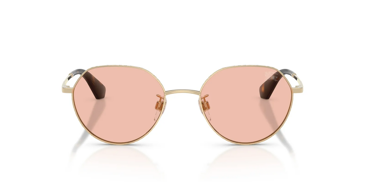 Burberry BE3173D Sunglasses