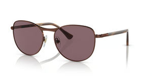 1124AF - Shiny Brown with Polarized Dark Violet Lenses