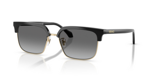 GB1/11 - Black with Gradient Grey Lenses
