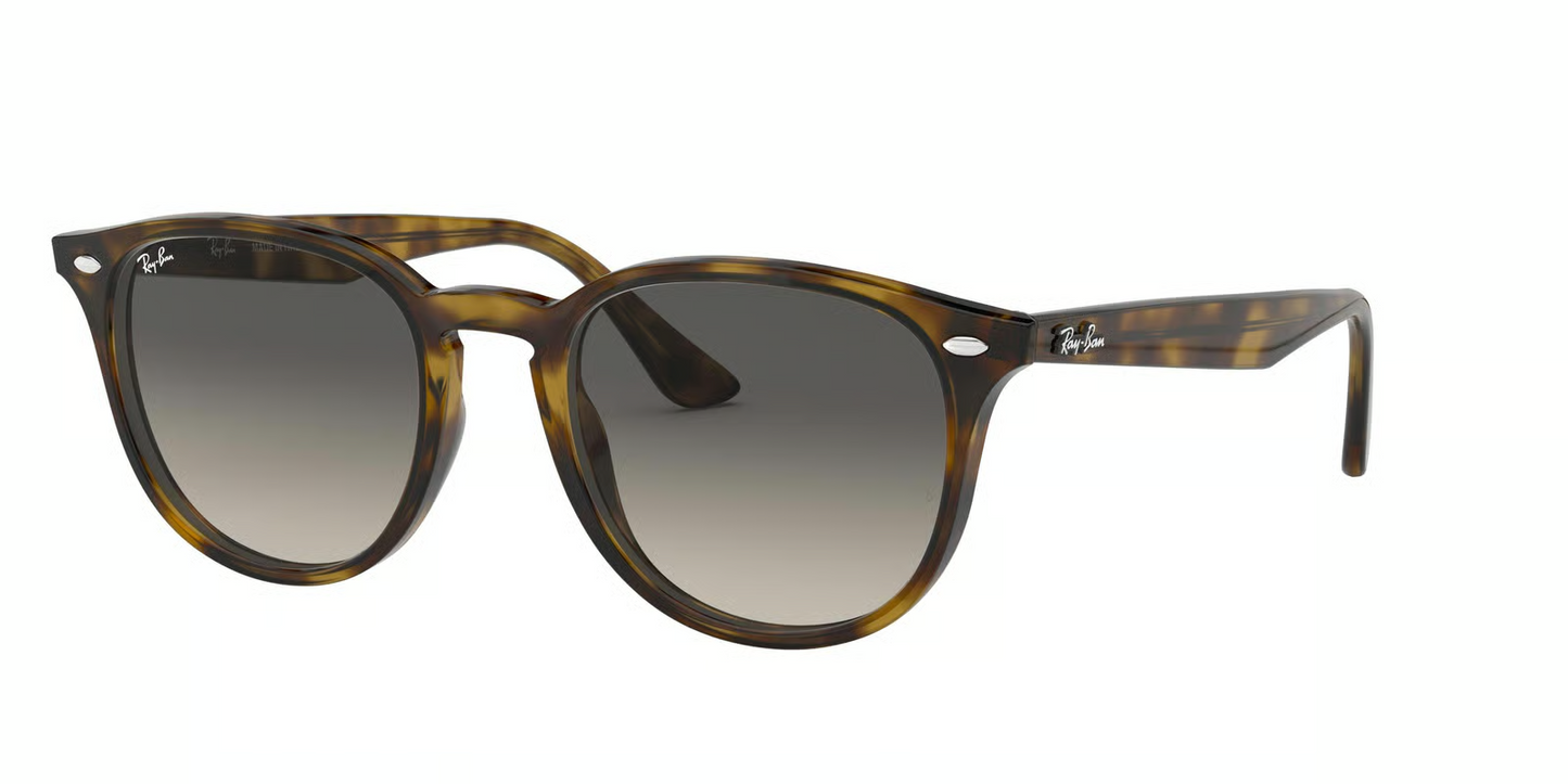 Ray-Ban RB4259 Sunglasses