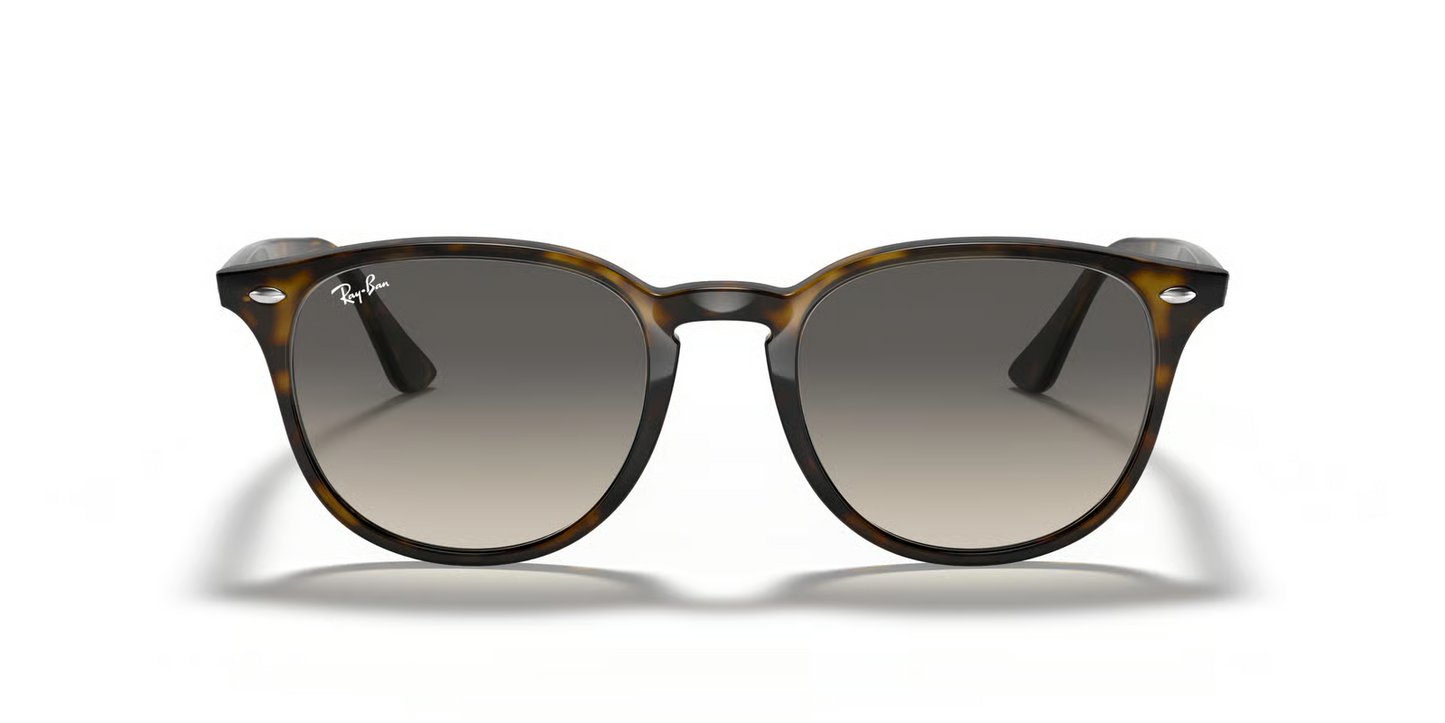 Ray-Ban RB4259 Sunglasses