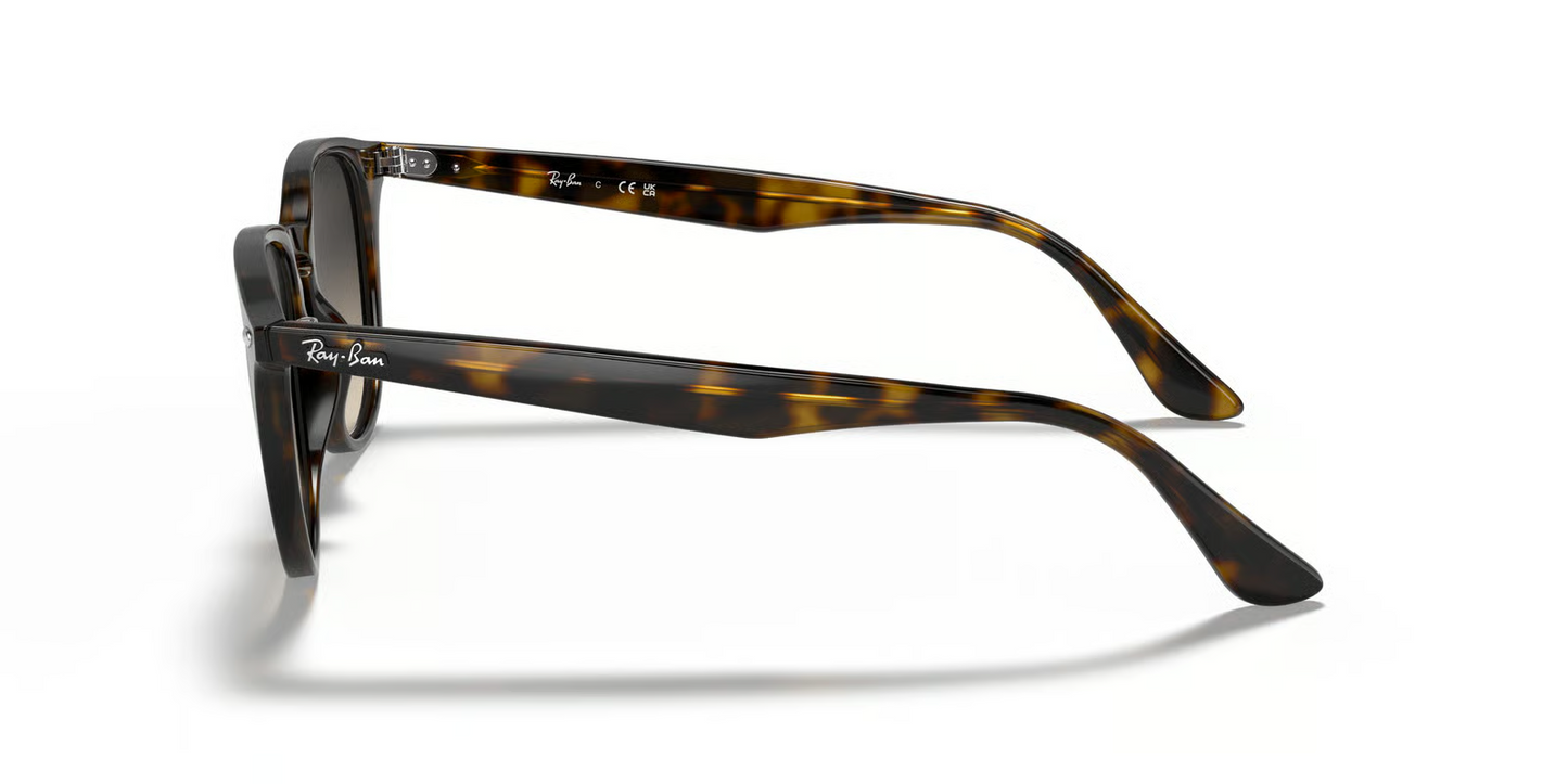 Ray-Ban RB4259 Sunglasses