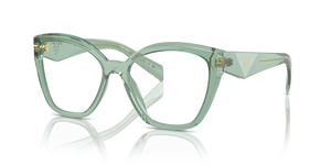 11R1O1 - Transparent Sage with Clear Lenses