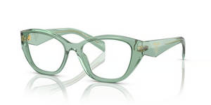 11R1O1 - Transparent Sage with Clear Lenses