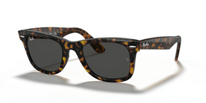 1292B1 - Havana On Transparent Brown with Dark Grey Lenses