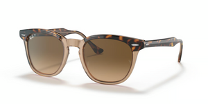 1292M2 - Havana On Transparent Brown with Polarized Brown Lenses