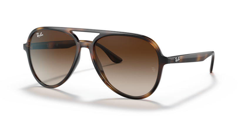 Ray-Ban RB4376 Sunglasses