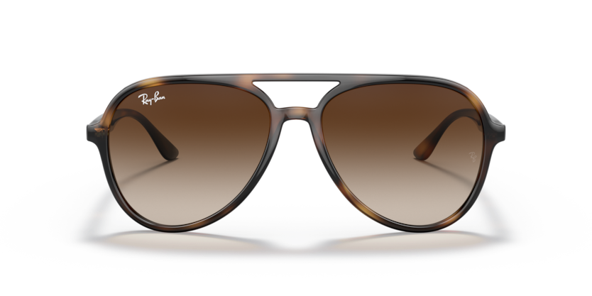 Ray-Ban RB4376 Sunglasses