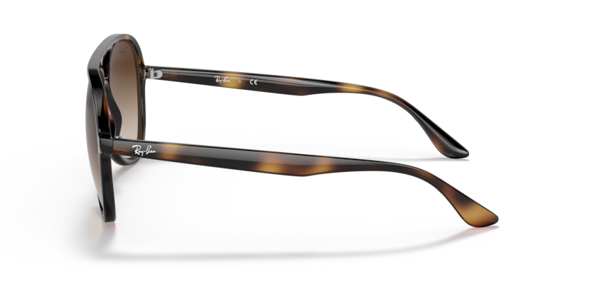 Ray-Ban RB4376 Sunglasses