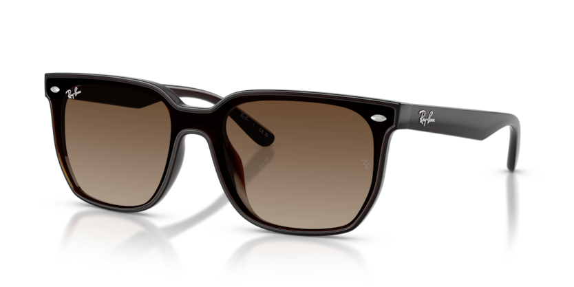 Ray-Ban RB4466D Sunglasses