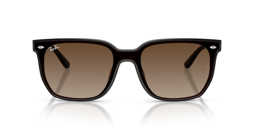 Ray-Ban RB4466D Sunglasses