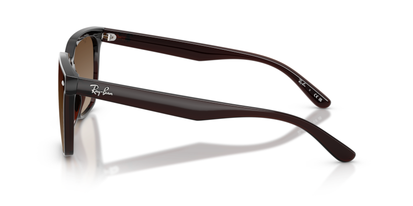 Ray-Ban RB4466D Sunglasses