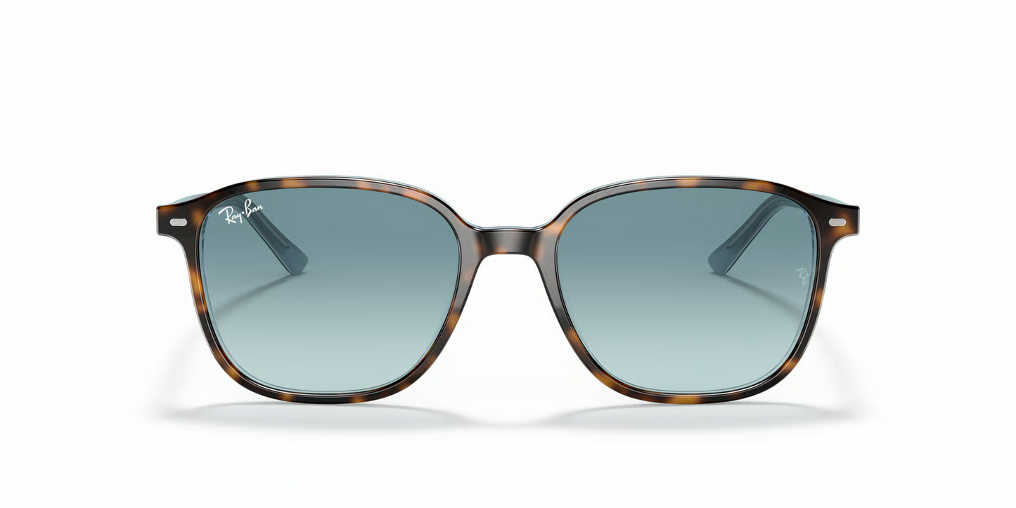 Ray-Ban RB2193 Leonard Sunglasses