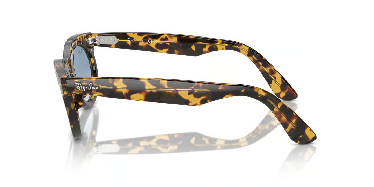 Ray-Ban RB2242 Wayfarer Oval Sunglasses