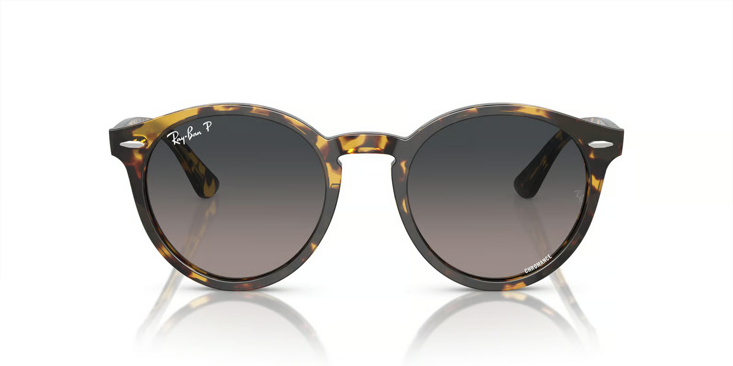 Ray-Ban RB7680S Larry Sunglasses