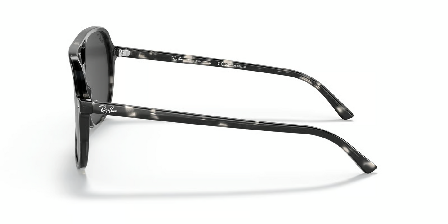 Ray-Ban RB2198 Bill Sunglasses