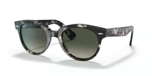 Ray-Ban RB2199 Orion Sunglasses