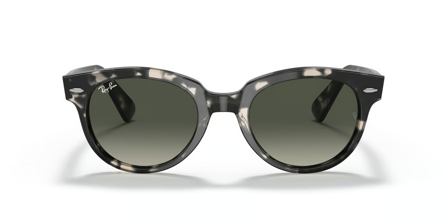 Ray-Ban RB2199 Orion Sunglasses