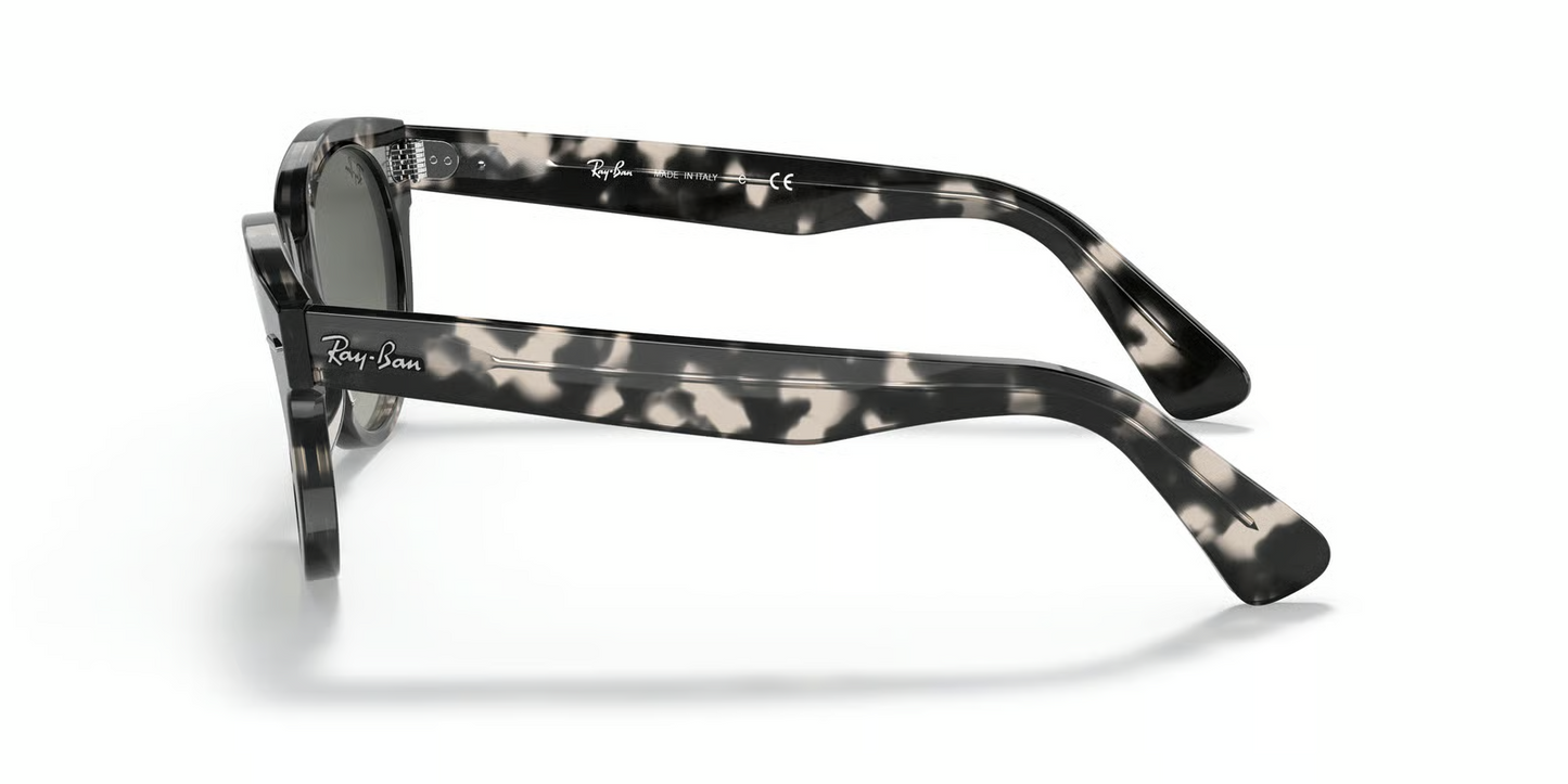 Ray-Ban RB2199 Orion Sunglasses