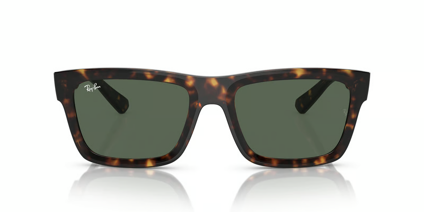 Ray-Ban RB4396 Warren Sunglasses