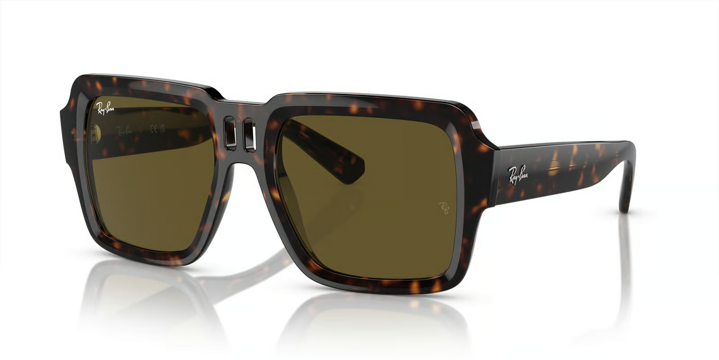 Ray-Ban RB4408 Magellan Sunglasses