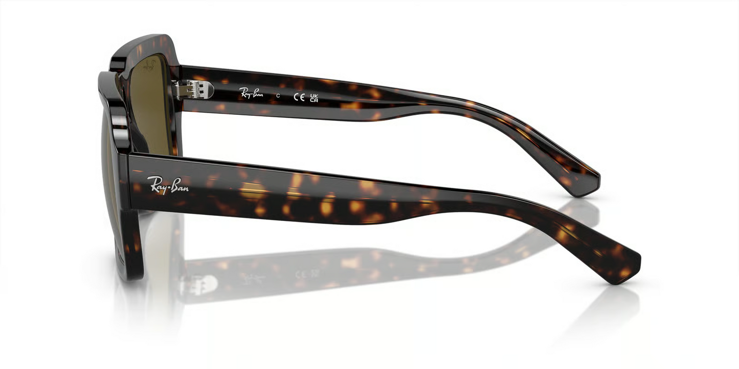 Ray-Ban RB4408 Magellan Sunglasses